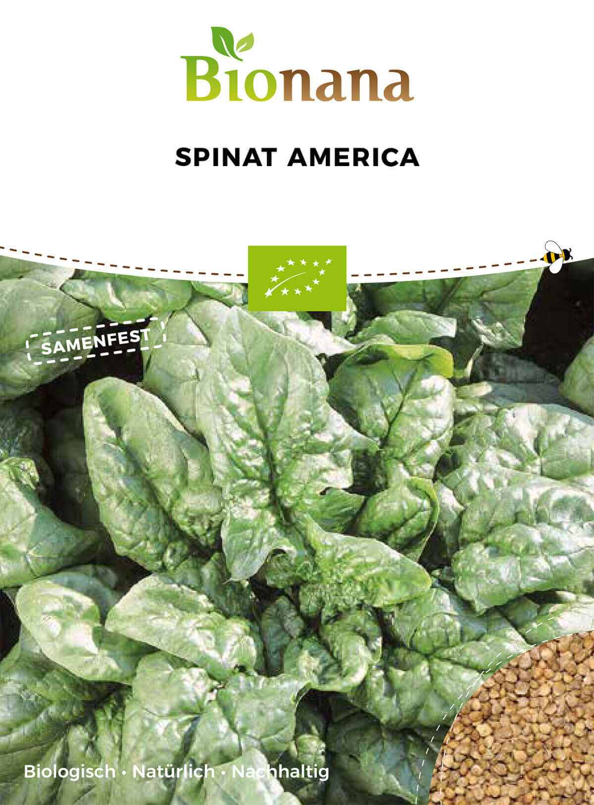 150x Bio Spinat Securo Ökologische Samen Salat Gemüse Garten K102 